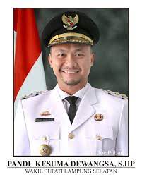 wakil bupati